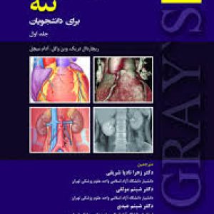 آناتومی گری تنه